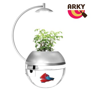 ARKY 香草與魚X智能版Herb&Fish X Connect - 京都銀限量版