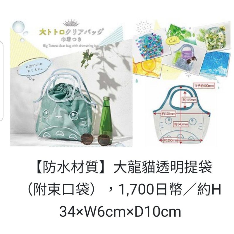 現貨 日本停產 原價出售 透明袋+防水綠色束口袋 日本 郵局 郵便局 龍貓 2020 夏天  totoro 限定 防水