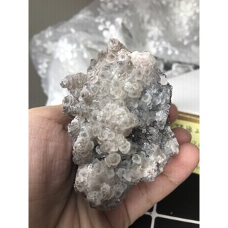 ✨Crystal Blingbling✨［天然水晶飾品］異象水晶礦標原石：錢串子