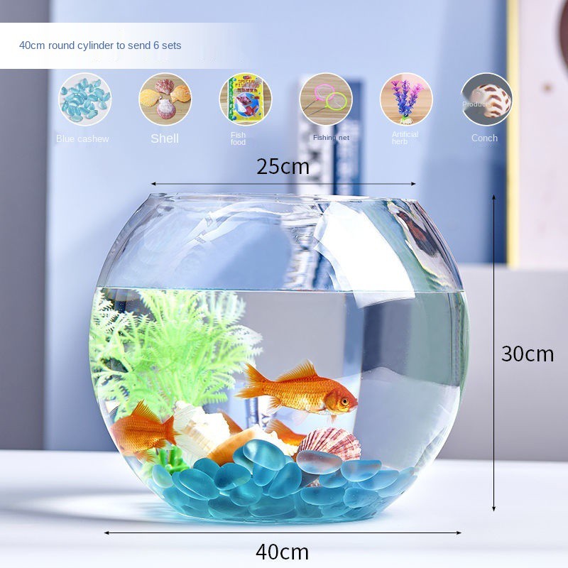 現貨 透明圓缸圓形金魚缸生態創意玻璃魚缸金魚缸水培缸花瓶特價 蝦皮購物