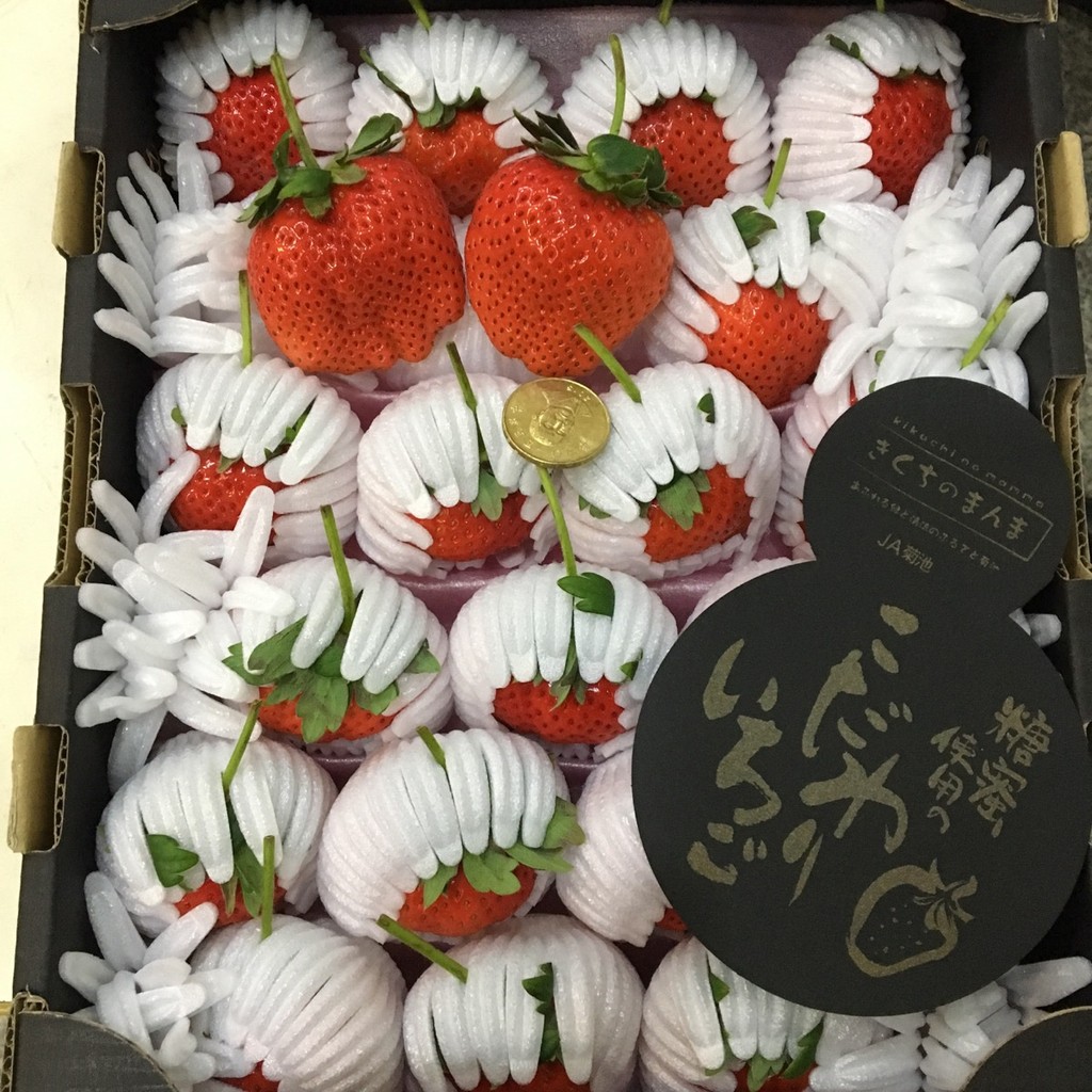 日本頂級熊本縣糖蜜草莓 優惠推薦 22年3月 蝦皮購物台灣