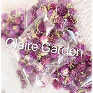 千日紅 優惠推薦 21年7月 蝦皮購物台灣