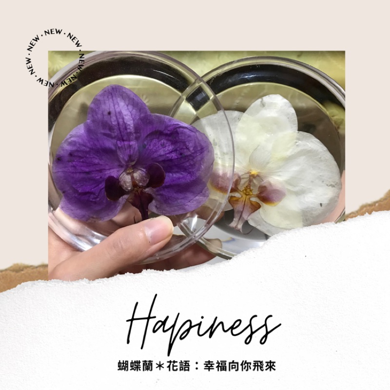樹脂花 Ptt Dcard討論與高評價網拍商品 21年10月 飛比價格