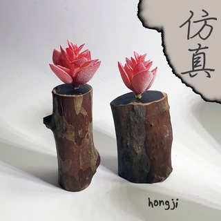 多肉 模擬多肉 微景觀 P55 假多肉植物 辦公室小物 療癒紓壓生日禮物拍照道具居家裝飾咖啡屋商店擺飾迷你木頭底座盆栽