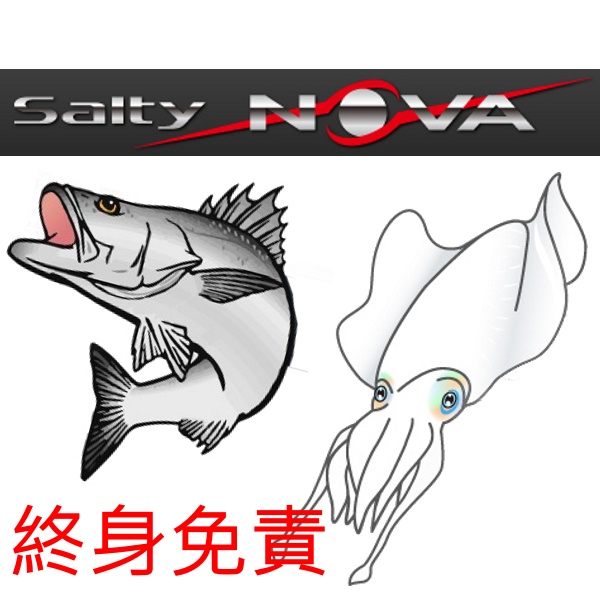 [NEMOSHOP] 免運!Abu SALTY NOVA SEABASS-962M海鱸竿 九折特惠!! #路亞竿#岸拋竿