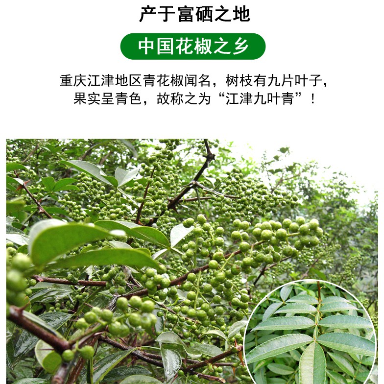 重慶特產九葉青花椒粉500g餐飲商用裝四川藤椒麻椒面調料廠家直銷 蝦皮購物