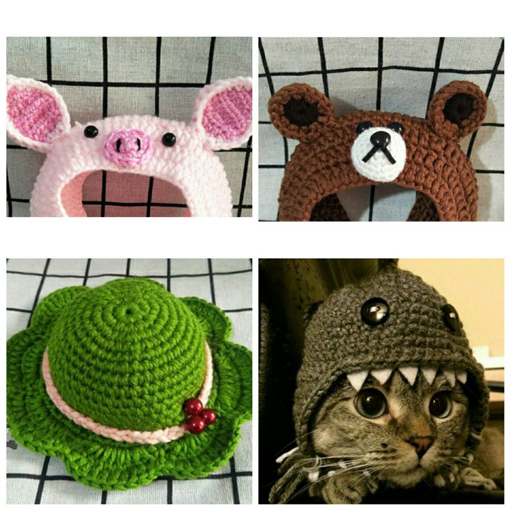 現貨秒出 貓咪手工編織頭飾編織帽寵物熊熊針織帽寵物變裝搞怪頭飾毛小孩旅行青蛙帽子 蝦皮購物
