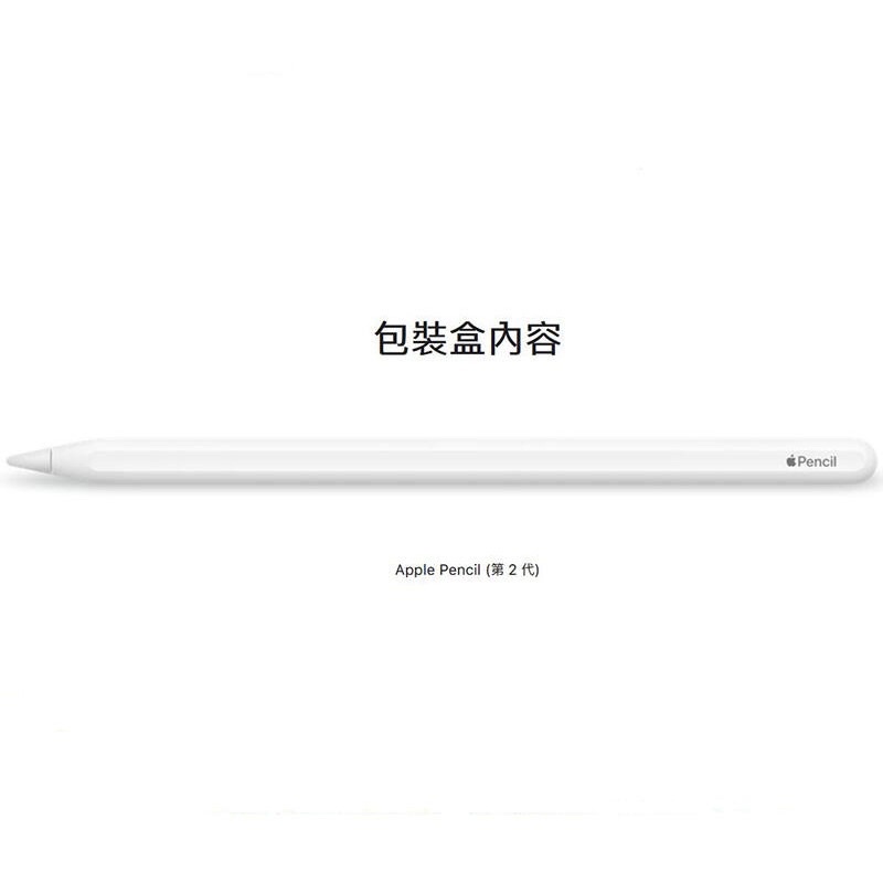 Apple Pencil (第 2 代)二手