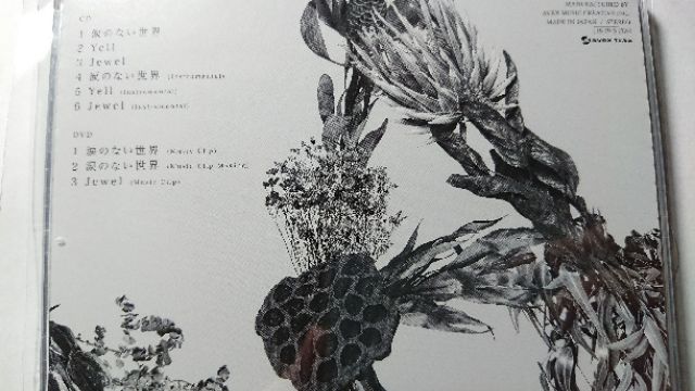AAA 涙のない世界單曲CD+DVD 附全員小卡| 蝦皮購物