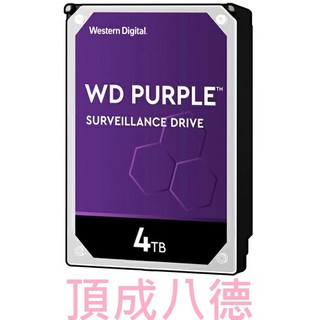 WD 紫標 4TB 4T 3.5吋 監控硬碟(WD43PURZ) PURZ
