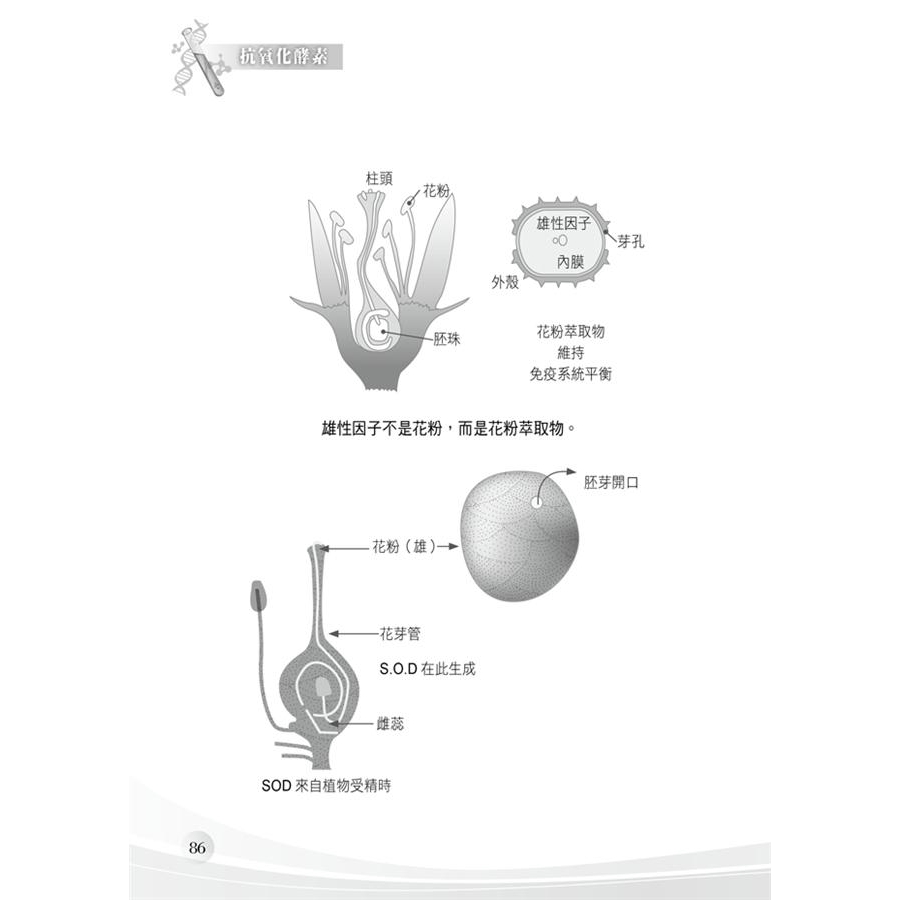 夢幻菇蕈白樺茸 抗氧化 抗癌新發現 陳啟楨eslite誠品 蝦皮購物