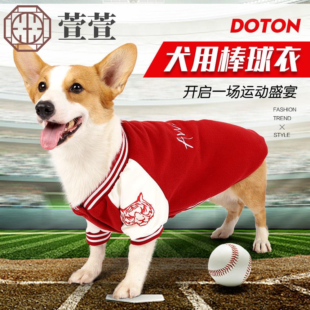 台灣犬棒球的價格推薦 21年10月 比價比個夠biggo