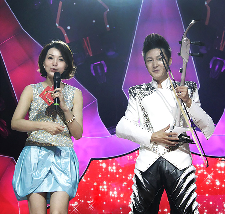 電子二胡 サイレント二胡 JOYO 二胡 karatebih.ba