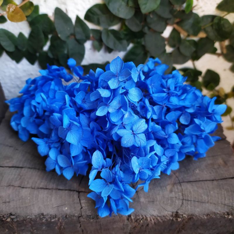 盒裝花 優惠推薦 22年3月 蝦皮購物台灣