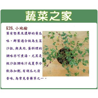 蔬菜之家滿額免運【00K26】大包裝.小地榆種子1000顆(香草種子)