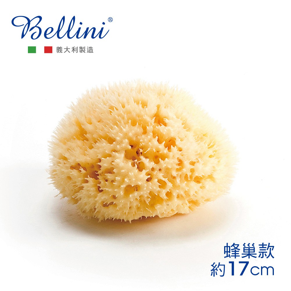 義大利Bellini地中海天然-蜂巢海綿(SA20) 寶寶沐浴 深海手工採集 小丁婦幼代理