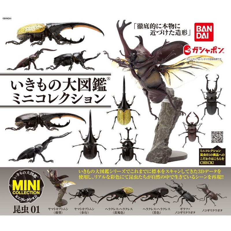 ❖貓大爺玩具❖現貨 BANDAI 生物大圖鑑mini-昆蟲篇01 全6款 轉蛋 扭蛋 甲蟲 獨角仙 鍬形蟲 大兜蟲