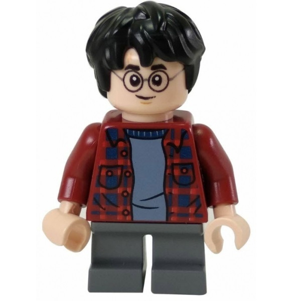 LEGO人偶 HP143 哈利波特系列 Harry Potter (75953)【必買站】 樂高人偶