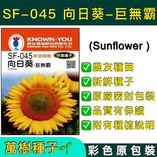 【萬樹種子】SF-045 向日葵-巨無霸 特選花卉種子 農友種苗 彩色密封 原廠包裝
