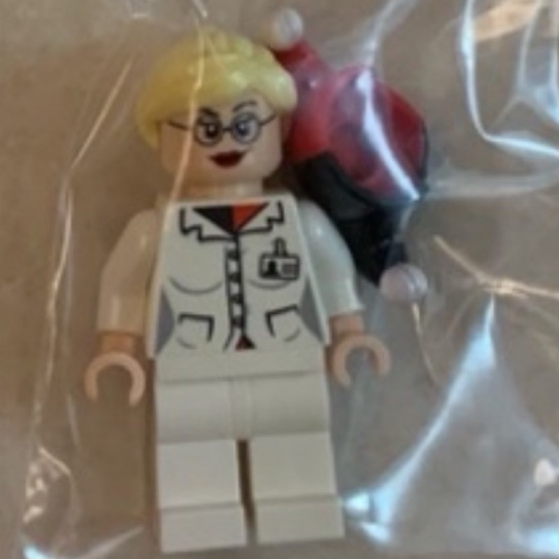 LEGO 10937 阿卡漢精神病院 小丑女 已組未把玩 人偶