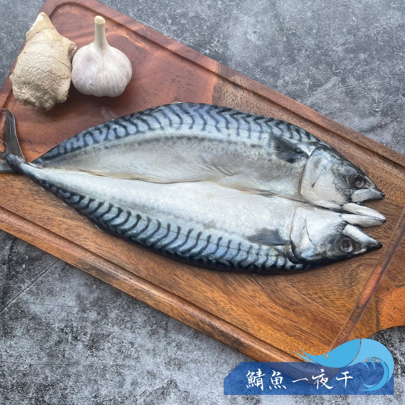 【昊鼎水產】鯖魚一夜干／M／約270g／挪威鯖魚／灰干／鯖魚／鯖魚片／薄鹽鯖魚／一夜干／一夜乾／烤肉／冷凍食品