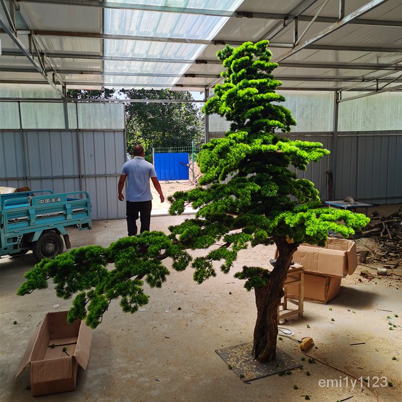 【台送到府】仿真松樹迎客松羅漢松假松樹商場酒店裝飾造型美人迎客松景觀擺件