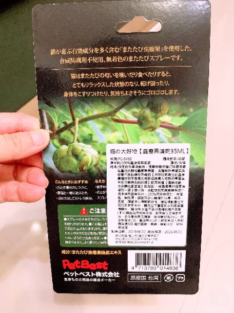 貓大好物蟲癭果水貓薄荷水蟲癭果果實100 天然無添加 無著色 無防腐貓喝水利器 蝦皮購物