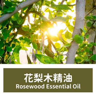 【馥靖精油】花梨木精油 Rosewood Essential Oil 小編推薦❤好聞 （不是混合）