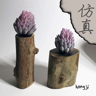 多肉 模擬多肉 微景觀 P45 假多肉植物 辦公室小物生日禮物拍照道具居家裝飾咖啡屋商店擺飾迷你木頭底座盆栽