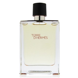 Hermes 愛馬仕 Terre D'Hermes 大地淡香水 EDT 100ml TESTER