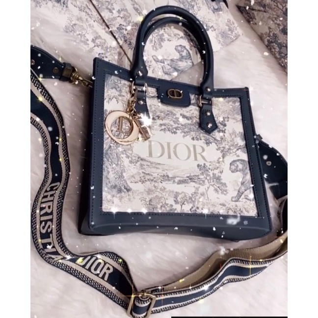 Dior限量正版紙袋包 真皮 高端版紙袋包