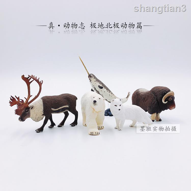 現貨日版海洋堂真世界動物志極地北極圈北極動物篇模型扭蛋 蝦皮購物
