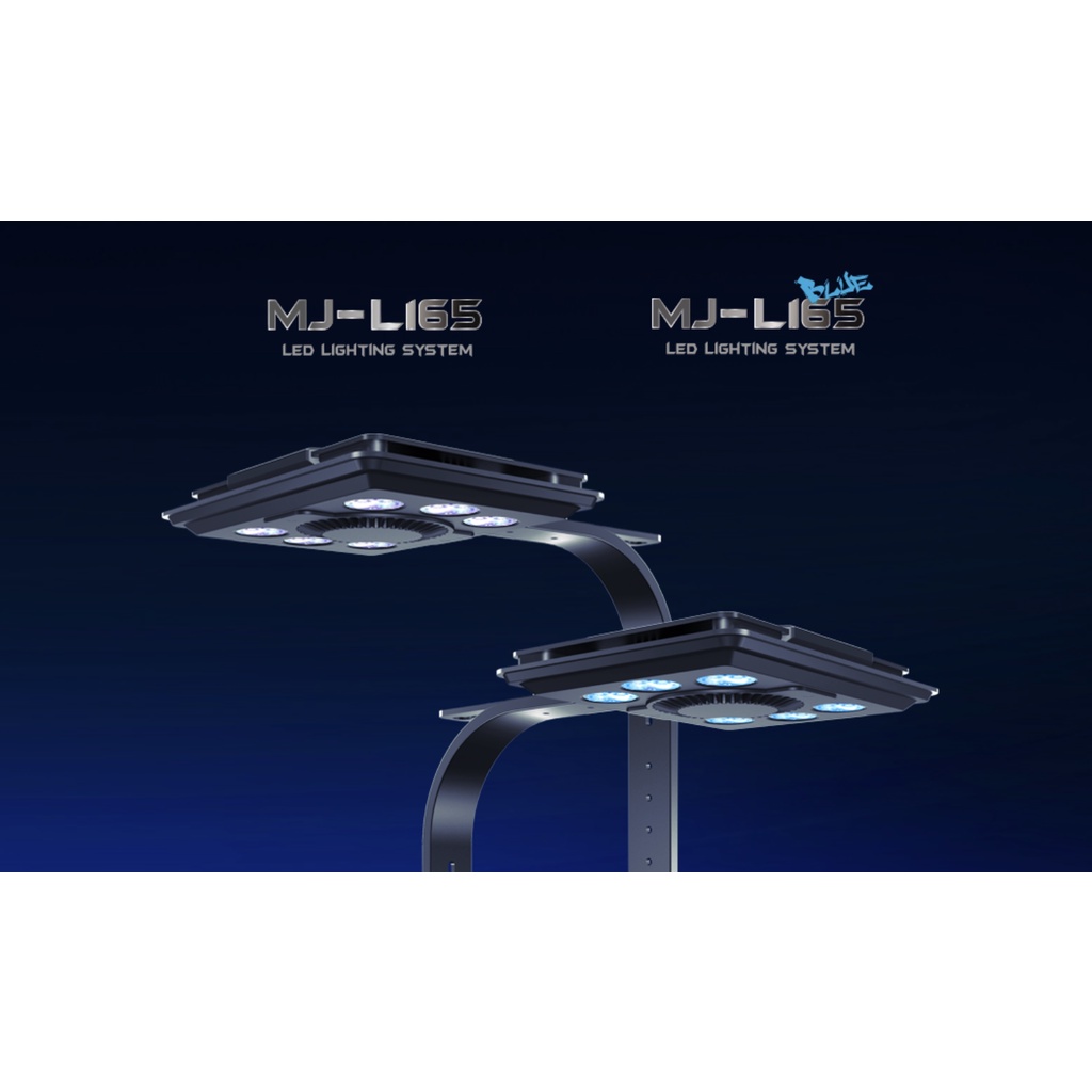 ◎ 水族之森 ◎ Maxspect 邁光 啟航系列LED 珊瑚培育燈 MJ-L165 Blue LPS / SPS 專用