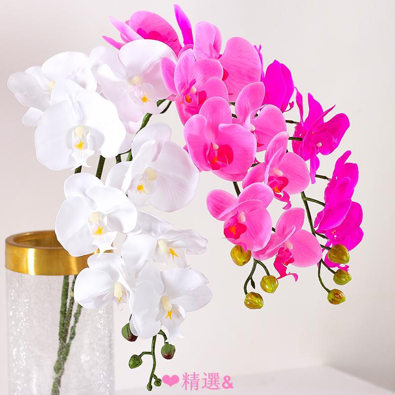 精選品質單枝蝴蝶蘭仿真花客廳插花餐桌花束手感保濕假花裝飾花藝花材套裝 蝦皮購物