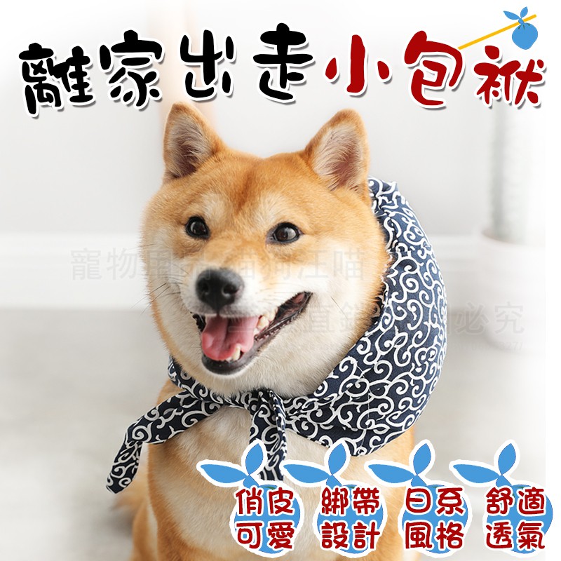 70以上柴犬系男子
