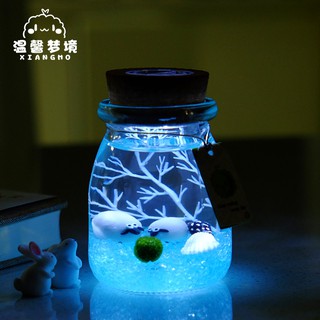marimo幸福海藻球微景觀生態瓶玻璃瓶迷你盆栽創意禮物水培植物