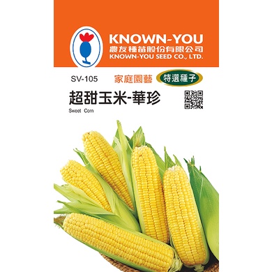 《農友種苗》特選蔬果種子 SV-105超甜玉米-華珍