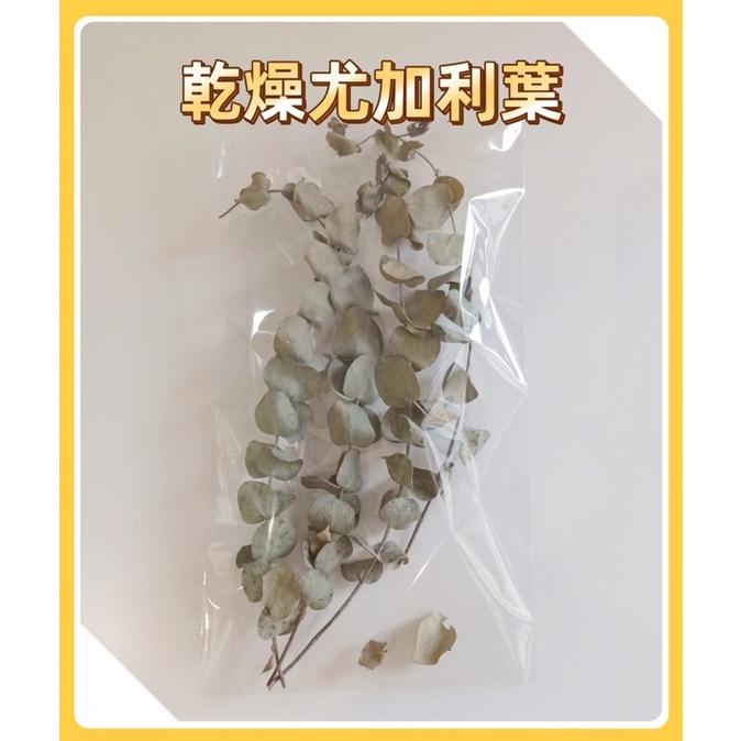 尤加利葉 乾燥花材 自然系 手作材料 材料包 乾燥花