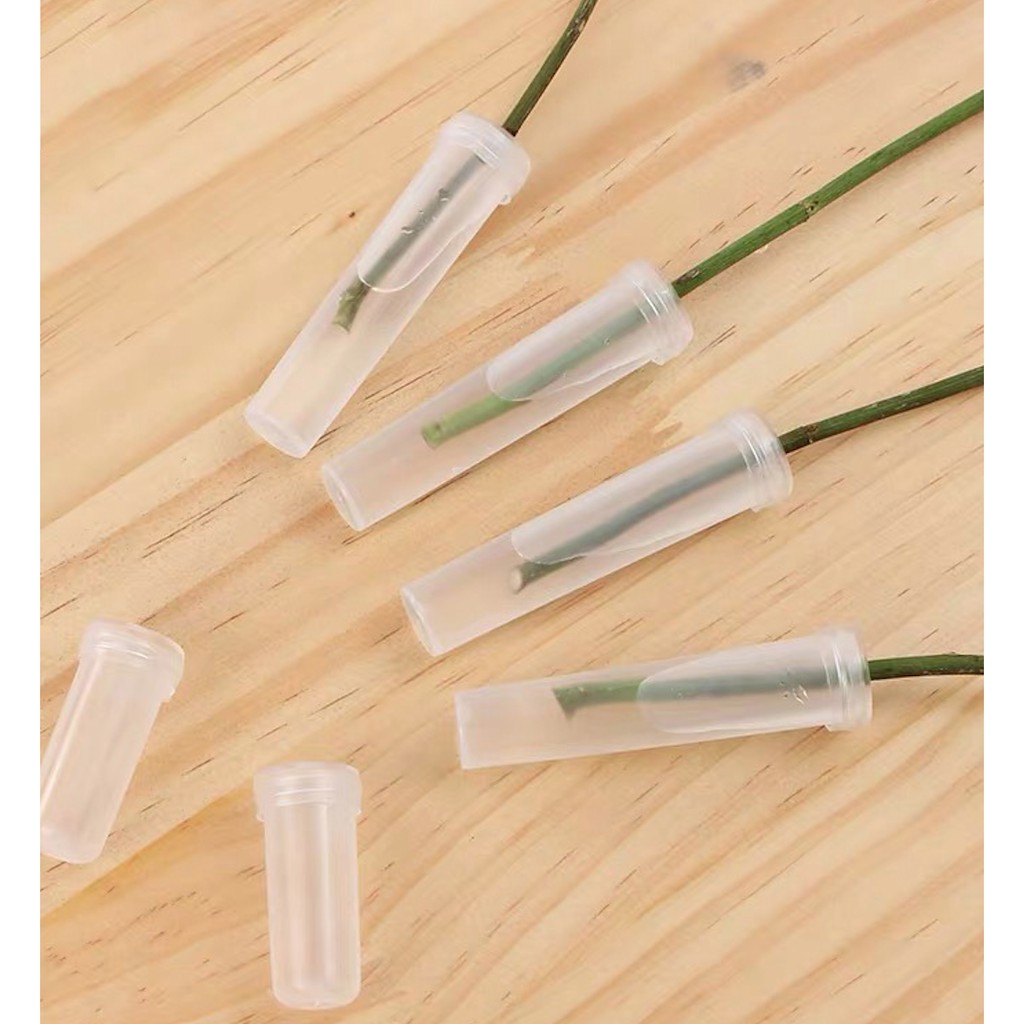 【現貨-鮮花保鮮管】 4款可選 鮮花保鮮管 單枝鮮花專用管 塑膠水管 花管 花藝 水管 單支花 小水管