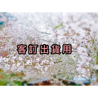 劉珊 羊羔絨毛毯A大小各一