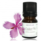 法國AROMA-ZONE-- Absolue Oeillet Egypte BIO - 0.5 ML有機康乃馨原精