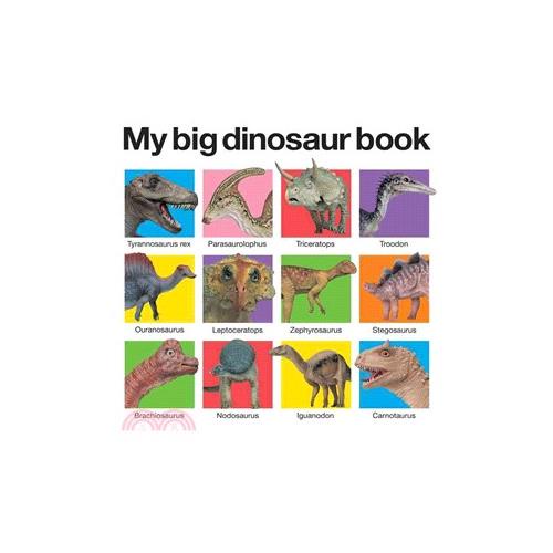 My Big Dinosaur Book