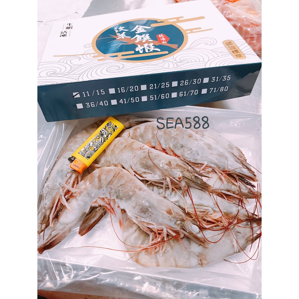 【SEA588】11/15 1KG 金蹦大 汶萊蝦 汶萊金饡蝦 特大白蝦