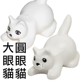 樂高 Lego 白色 貓 眼睛有塗裝 貓咪 寵物 動物 White Cat Black Eyes 小貓