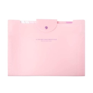 [ARTBOX] Index Document File Pink Button 15 Pockets