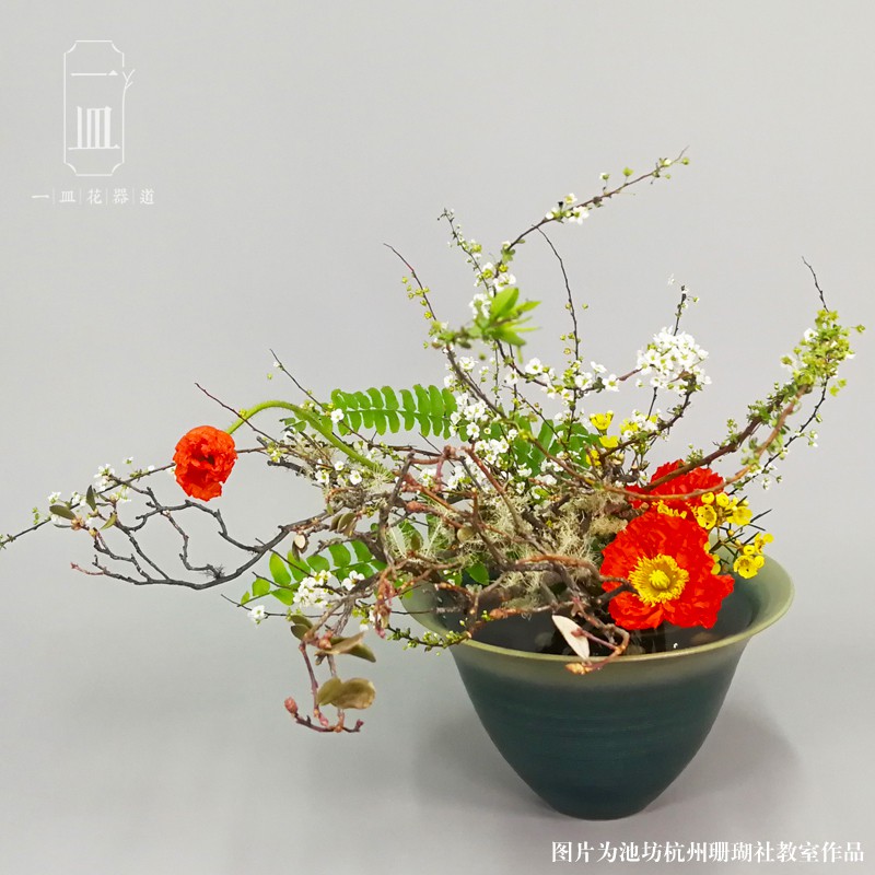 居家花器 現貨池坊自由花生花立花一葉式花道草月流醍醐未生流橘244 276 蝦皮購物