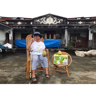 臺南麻豆老欉文旦阿彬果園