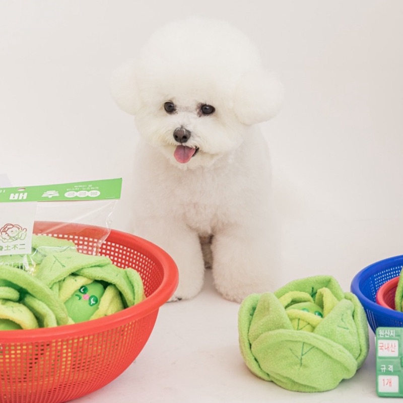 Chëer Tail韓國直送🇰🇷Bite Me卷心菜嗅球藏食玩具 韓國寵物高麗菜玩具 狗狗發聲玩具 狗狗響紙嗅聞玩具