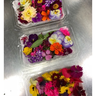 綜合食用花 新鮮 蝦皮購物