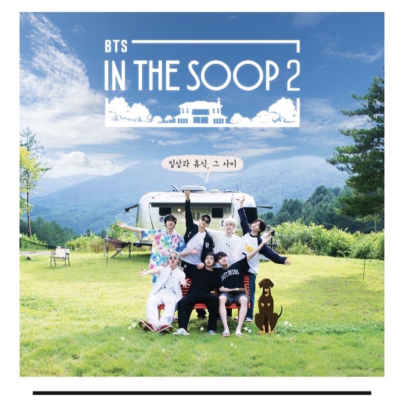 BTS IN THE SOOP stay 平昌ホテル 宿泊者限定トレカ テテ V